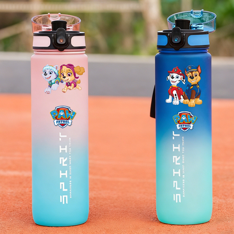 800ml PAW Patrol Sports Water  - Kids Outdoor Movies review and price
