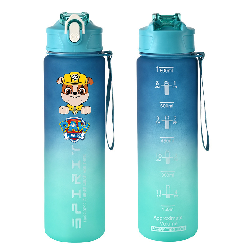 800ml PAW Patrol Sports Water  - Kids Outdoor Movies review and price