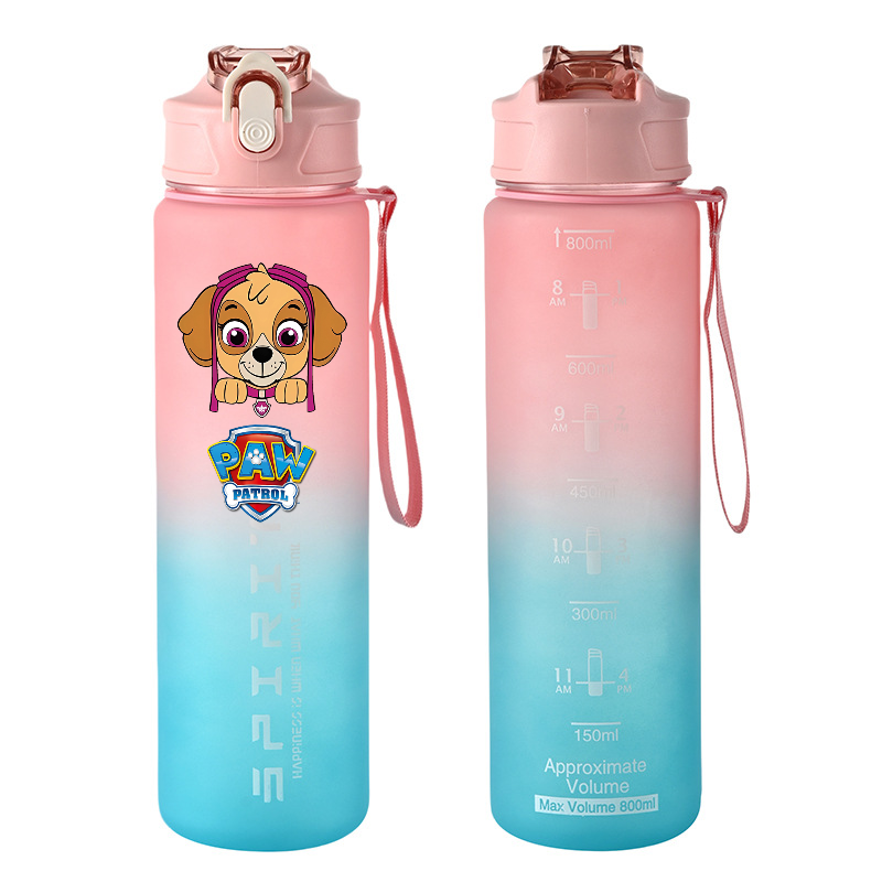 800ml PAW Patrol Sports Water  - Kids Outdoor Movies review and price