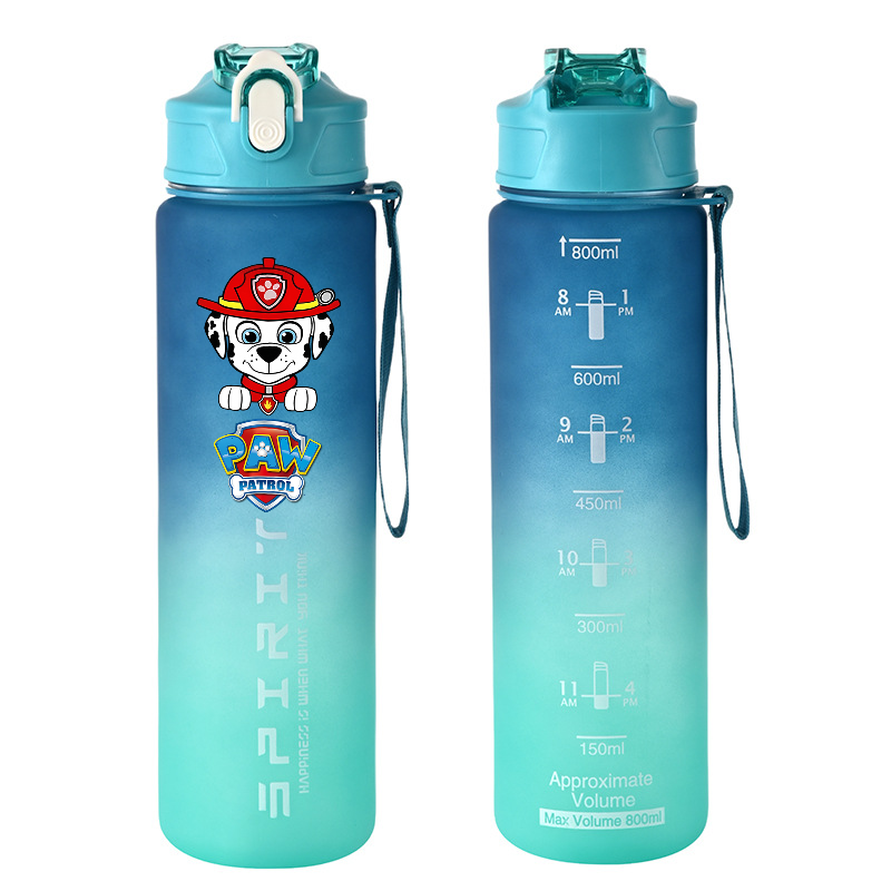 800ml PAW Patrol Sports Water  - Kids Outdoor Movies review and price