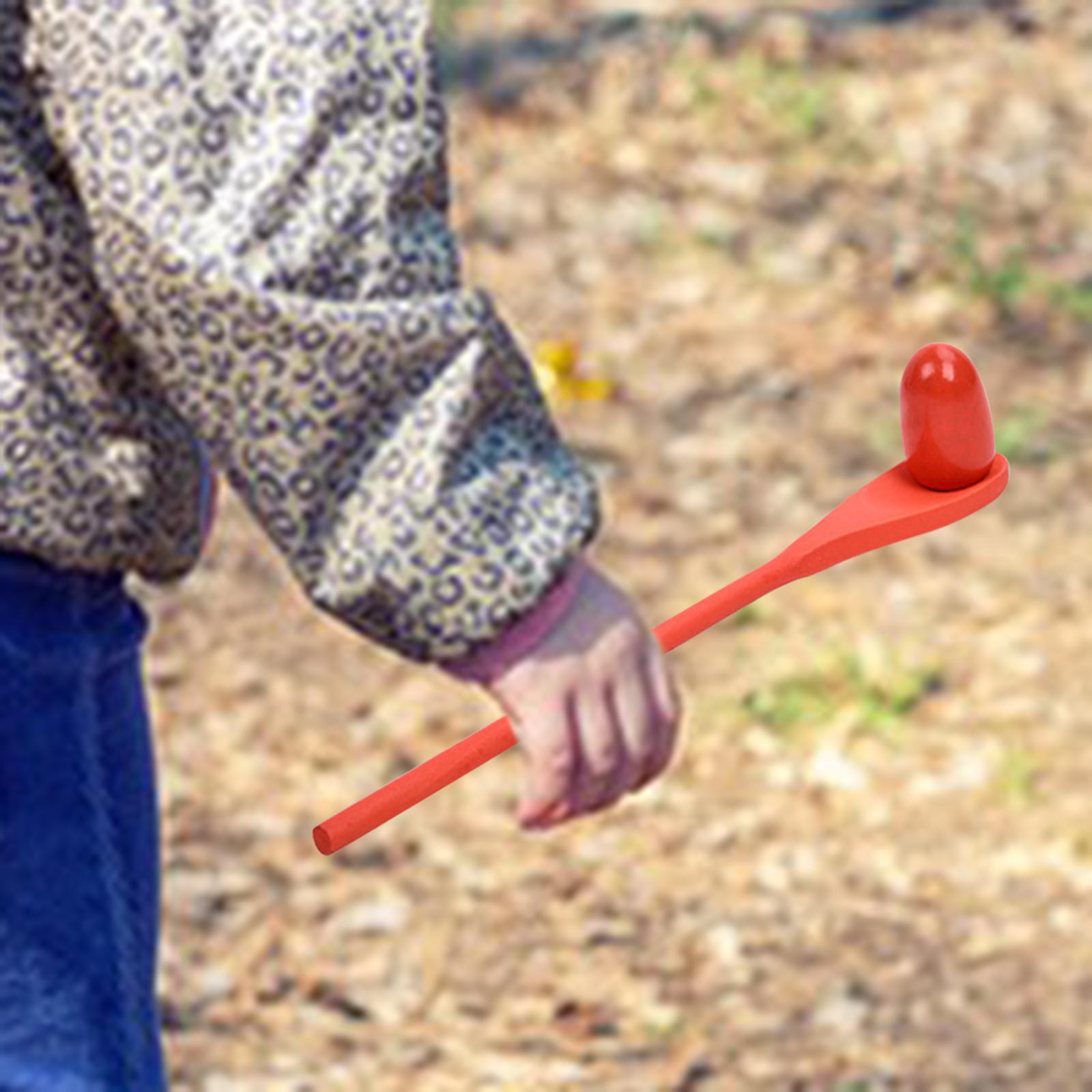 6 Pieces Egg Spoon Race Game H - Kids Outdoor Games For Party review and price