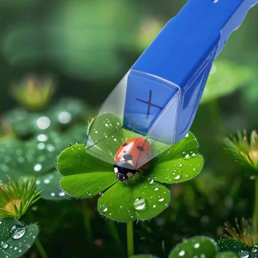 Kids Insect Catcher Box Magnif - Kids Outdoor Gifts review and price